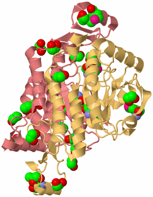 Image Biological Unit 2