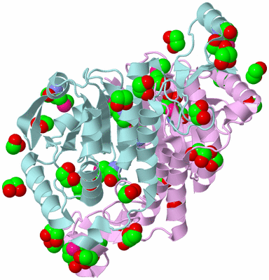 Image Biological Unit 3