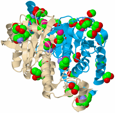 Image Biological Unit 4