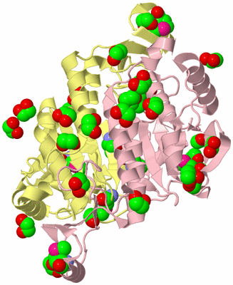 Image Biological Unit 5