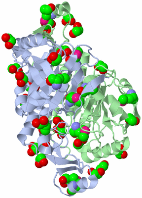 Image Biological Unit 6