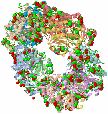 Image Asym. Unit - sites