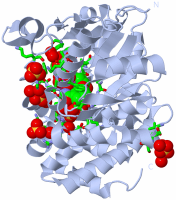 Image Biol. Unit 1 - sites