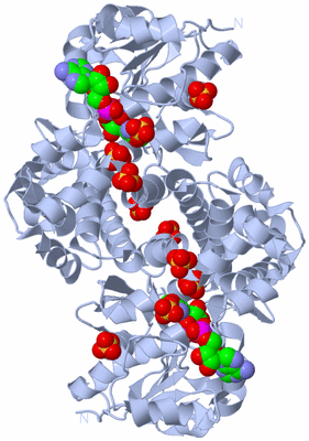 Image Biological Unit 2