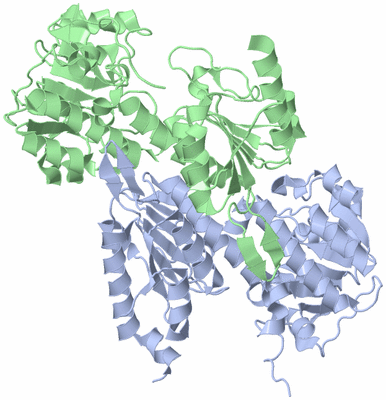 Image Asym./Biol. Unit