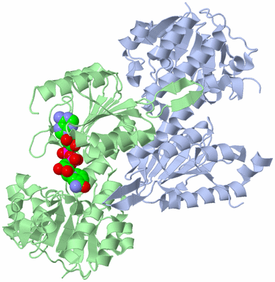 Image Asym./Biol. Unit