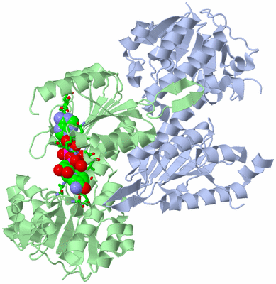 Image Asym./Biol. Unit - sites