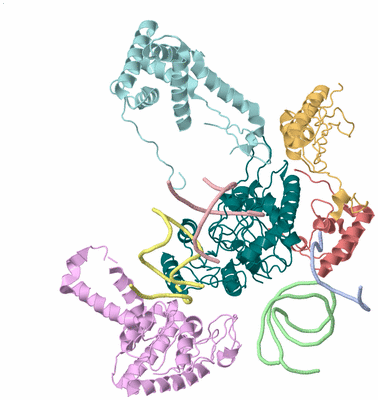 Image Asym./Biol. Unit