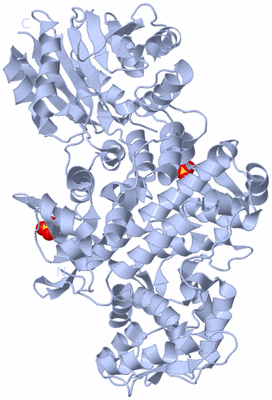 Image Biological Unit 2