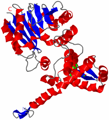 Image Asym. Unit - sites