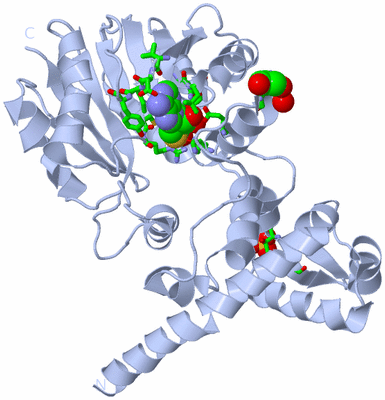 Image Biol. Unit 1 - sites