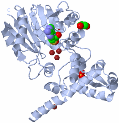 Image Biological Unit 1