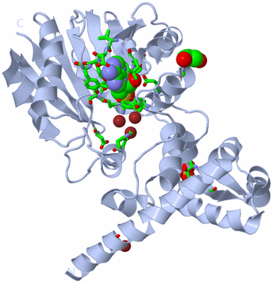 Image Biol. Unit 1 - sites