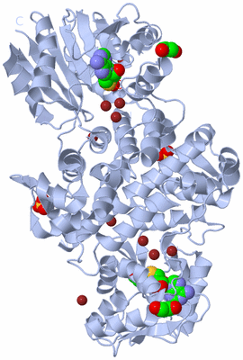 Image Biological Unit 2