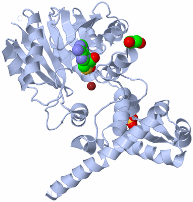 Image Biological Unit 1