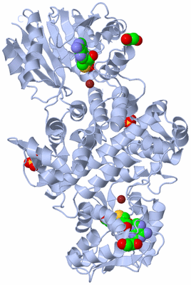 Image Biological Unit 2