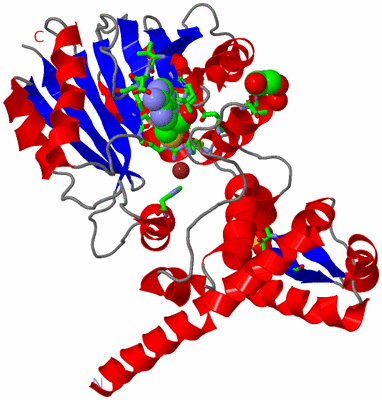 Image Asym. Unit - sites