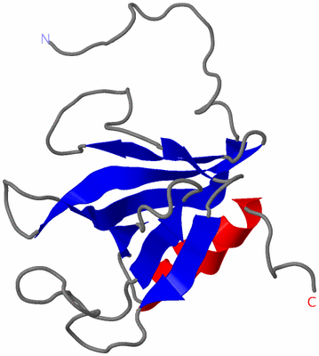 Image NMR Structure - model 1