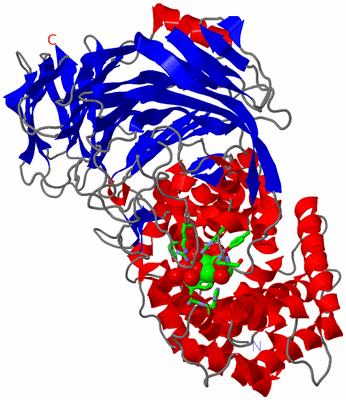 Image Asym./Biol. Unit - sites