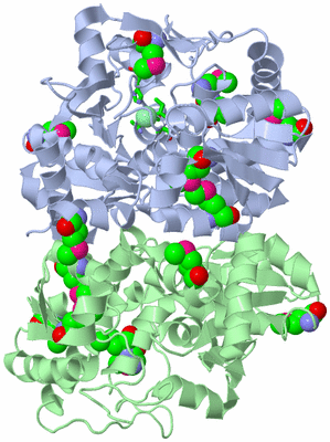 Image Asym./Biol. Unit - sites