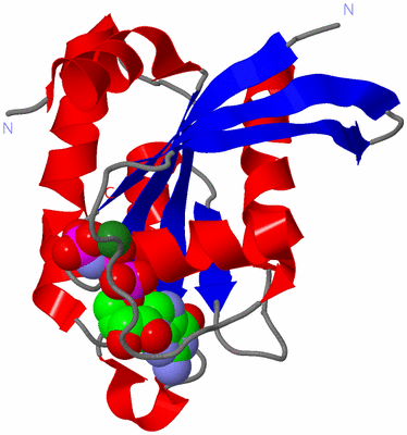 Image Asym./Biol. Unit
