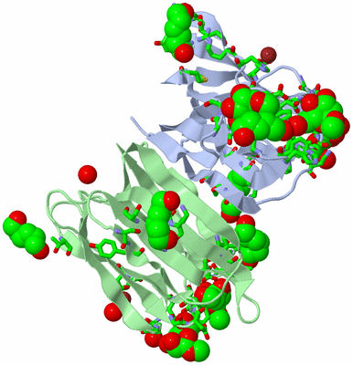 Image Asym./Biol. Unit - sites