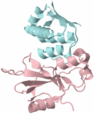 Image Biological Unit 3