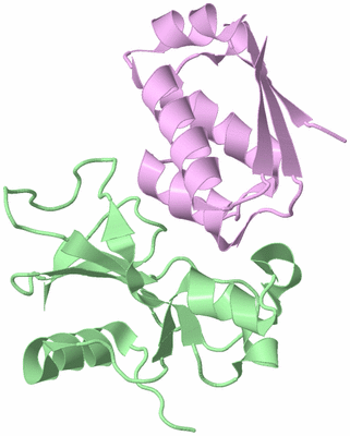 Image Biological Unit 2