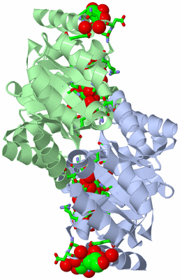 Image Asym./Biol. Unit - sites