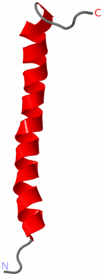 Image NMR Structure - model 1