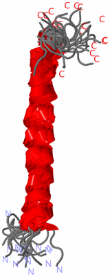 Image NMR Structure - all models