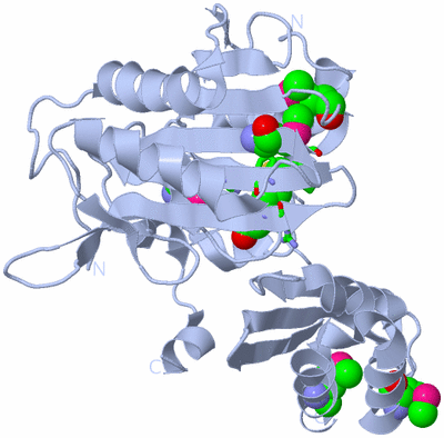 Image Biol. Unit 1 - sites