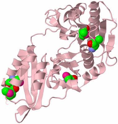 Image Biological Unit 3