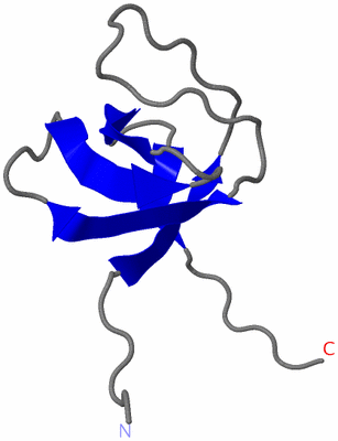 Image NMR Structure - model 1