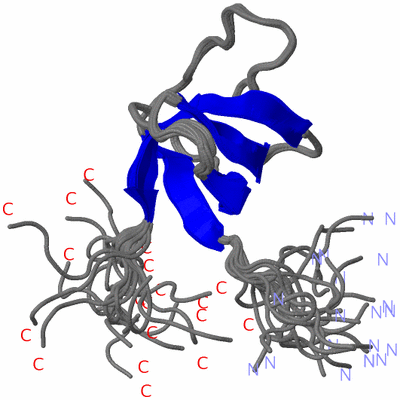 Image NMR Structure - all models