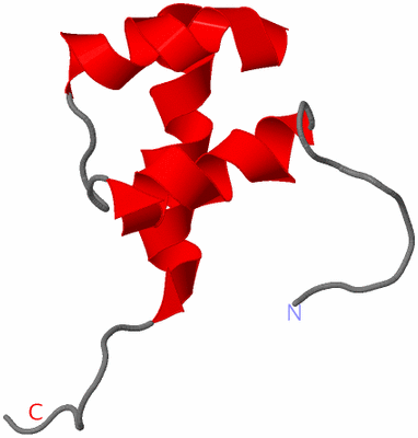 Image NMR Structure - model 1