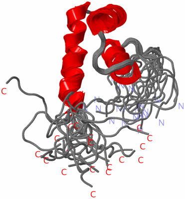 Image NMR Structure - all models