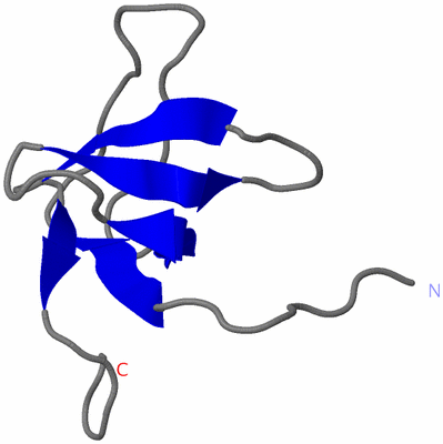 Image NMR Structure - model 1