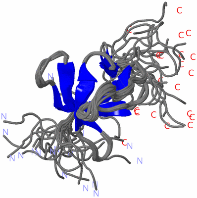 Image NMR Structure - all models