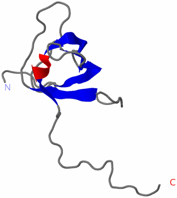 Image NMR Structure - model 1