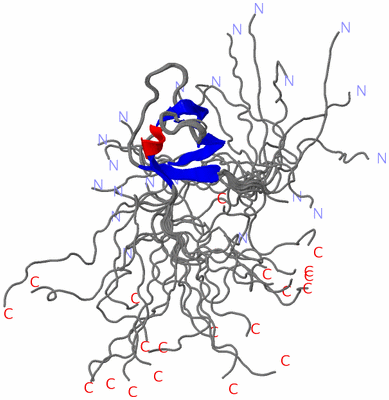 Image NMR Structure - all models