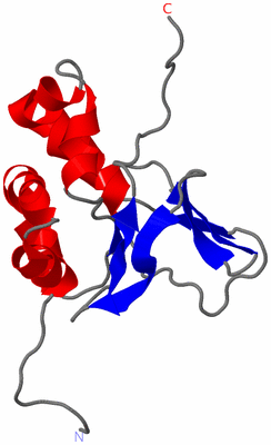 Image NMR Structure - model 1