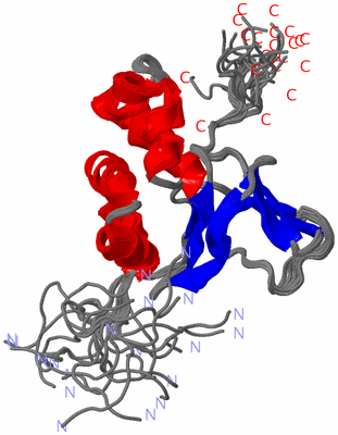 Image NMR Structure - all models