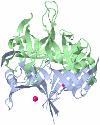 Image Biological Unit 1