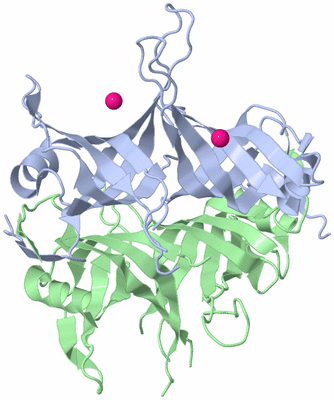 Image Biological Unit 1