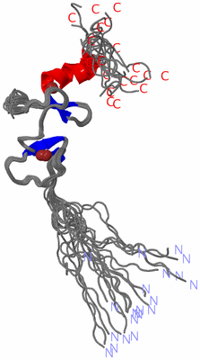 Image NMR Structure - all models