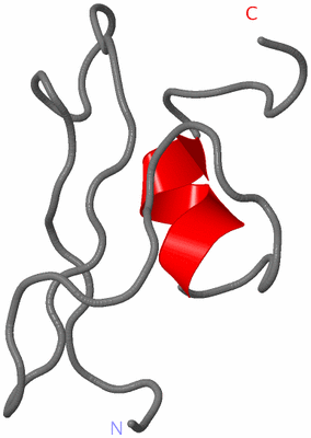 Image NMR Structure - model 1