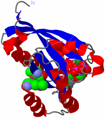 Image Asym./Biol. Unit