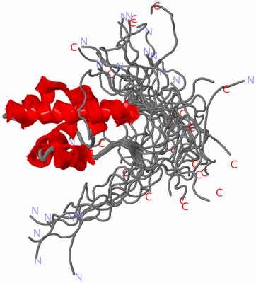 Image NMR Structure - all models