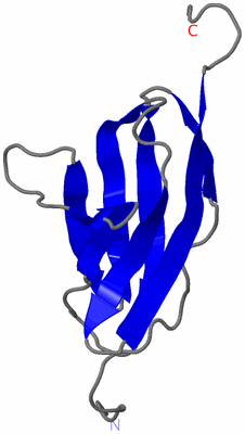 Image NMR Structure - model 1